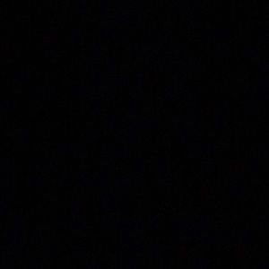 Meet your Posher, Cheyenne